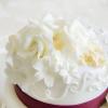 Tort de nunta Trandafiri albi si bentita maro-2