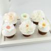 Colectie cupcake flori albe-1