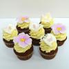 Colectie cupcake suzeta si flori-1