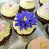 Cupcakes floricele colorate-3