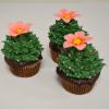 Cupcakes Cactusi si flori-2
