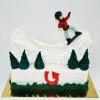 Tort Iarna - Placa Burton-1