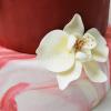 Tort Orhidee alb imaculat-2
