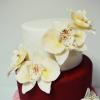 Tort Orhidee alb imaculat-3