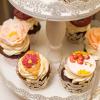 Cupcakes Gradina de toamna-1