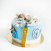 Tort Baby travel-1