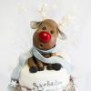 Tort Renul Rudolf-2