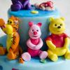 Tort Winnie si bebelusul-3