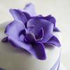 Tort Orhidee Mov-Lila-3