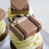 Cupcake Valize Vintage-2