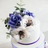 Tort Mov-lila si anemone-2