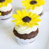 Cupcake Floarea Soarelui-1