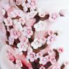 Tort Flori de cires - Micii Japonezi-3