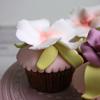Colectie cupcake flori pastelate-3