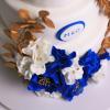 Tort Royal Blue-5