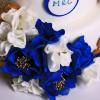 Tort Royal Blue-6