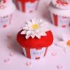 Colectie cupcakes Martisor -6