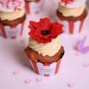 Colectie cupcakes frosting Martisor-3