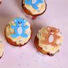 Cupcakes Colectie Botez-1