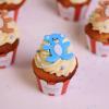 Cupcakes Colectie Botez-3