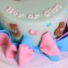 Tort Gender Reveal-3