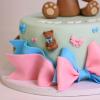 Tort Gender Reveal-4