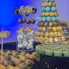 Candy bar Corporate-5