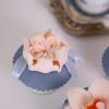 Colectie Cupcake Flori Colorate Elegante-6