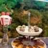 Candy Bar Cherry Kiss-6