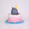 Tort Pisica Pusheen La Petrecere-1