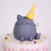 Tort Pisica Pusheen La Petrecere-2