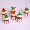 Mini Cupcake Frosting Craciun -1