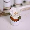 Mini Cupcake Frosting Flori Regale-3