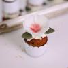 Mini Cupcake Frosting Flori Regale-4