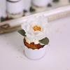 Mini Cupcake Frosting Flori Regale-5