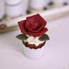 Mini Cupcake Frosting Flori Regale-6