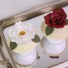 Colectia Cupcake Ivory Bloom-2