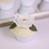 Colectia Cupcake Ivory Bloom-3