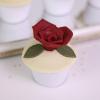 Colectia Cupcake Ivory Bloom-4