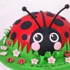 Tort Personalizat Buburuza-2
