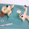 Tort Personalizat Micul Pacient la Veterinar-2
