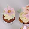 Colectie Cupcake in  Frosting - Fairy Tale-2