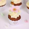 Colectie Cupcake in  Frosting - Fairy Tale-4