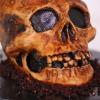 Tort Halloween – Craniu Realist-2