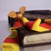 Tort Carti Harry Potter-3